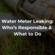Water meter leaking