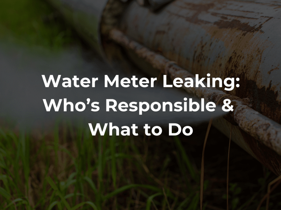 Water meter leaking