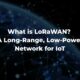 what is LoRaWAN